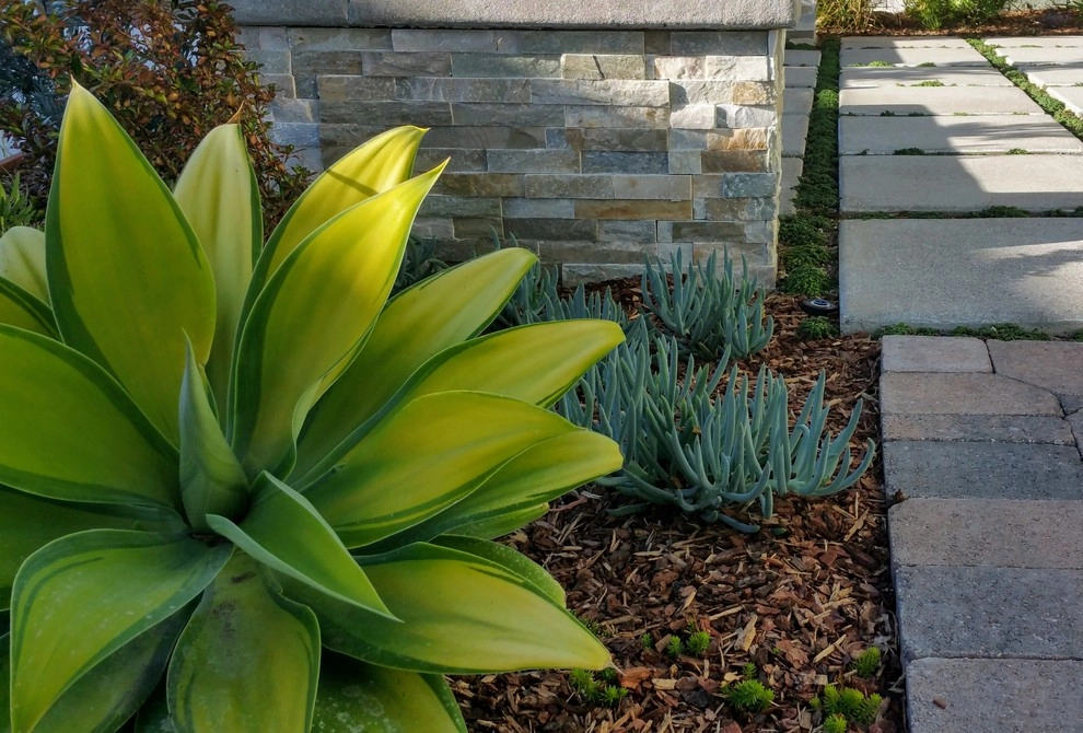 Carlsbad Contempory Cape Cod by Kathy Henry Exterior Design - Photo 3