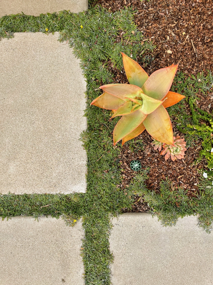 Reynolds by Kathy Henry Exterior Design - Photo 5