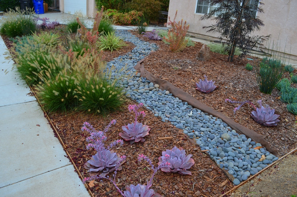 Mission Valley Lawn Removal by Kathy Henry Exterior Design - Photo 4