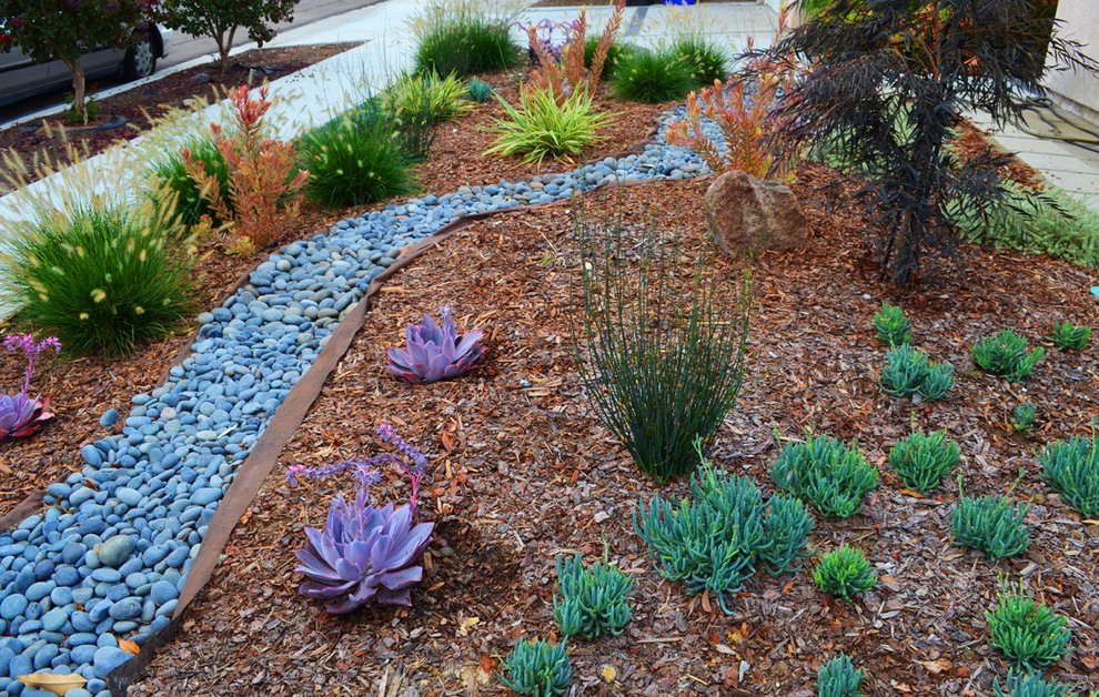 Mission Valley Lawn Removal by Kathy Henry Exterior Design - Photo 2