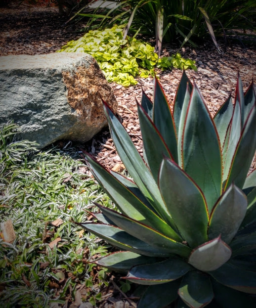 Historic Mission Hills by Kathy Henry Exterior Design - Photo 4