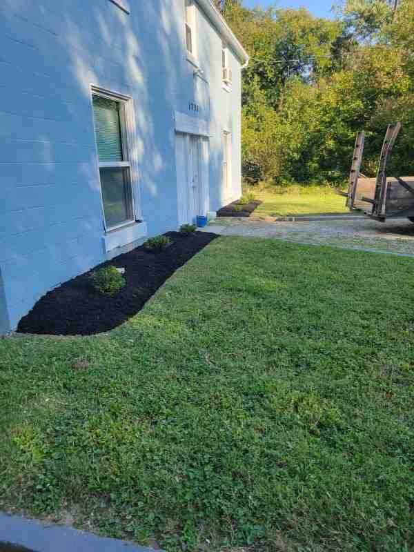 Alberto Alavez Professional Lawn Services LLC 4 by Alberto Alavez Professional Lawn Services LLC - Photo 56