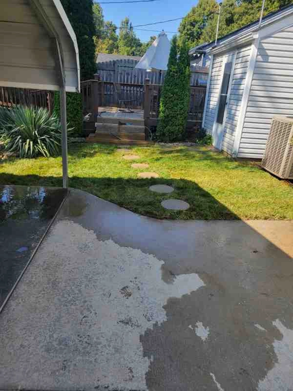 Alberto Alavez Professional Lawn Services LLC 4 by Alberto Alavez Professional Lawn Services LLC - Photo 8