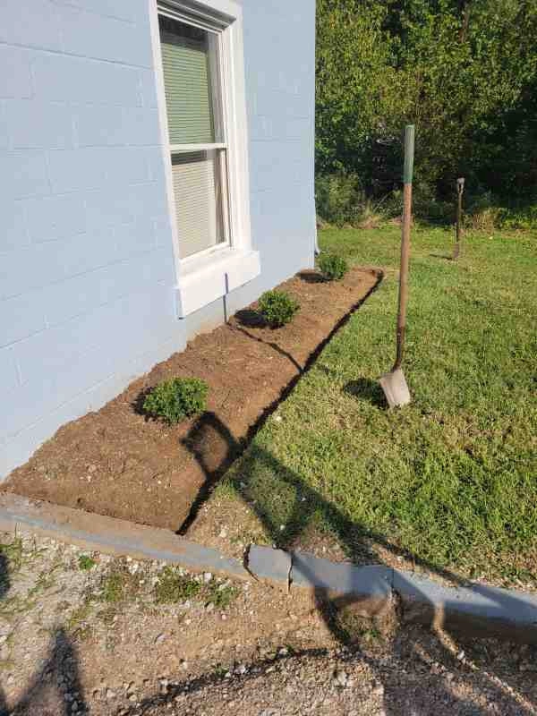 Alberto Alavez Professional Lawn Services LLC 4 by Alberto Alavez Professional Lawn Services LLC - Photo 64