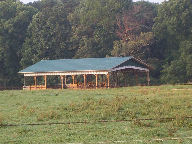 Outdoors by Debuty Builders Inc - Photo 9