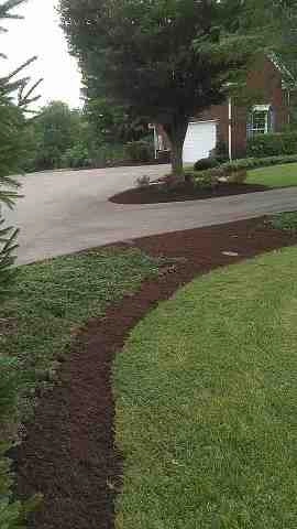 Alberto Alavez Professional Lawn Services LLC 4 by Alberto Alavez Professional Lawn Services LLC - Photo 114