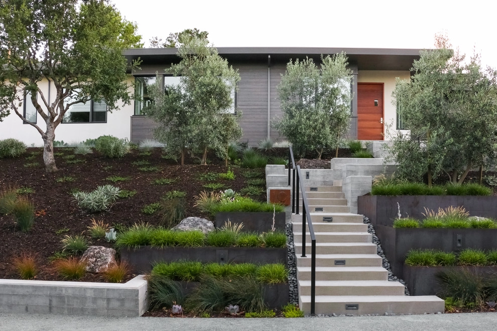 Keith Willig Landscape Architecture, Inc. - Photo 13