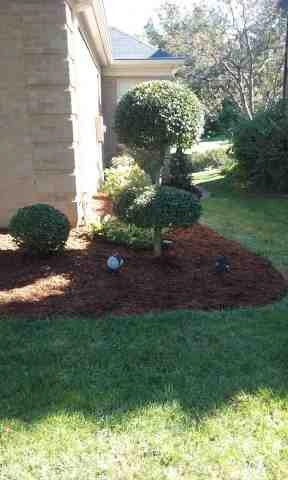 Alberto Alavez Professional Lawn Services LLC 4 by Alberto Alavez Professional Lawn Services LLC - Photo 111