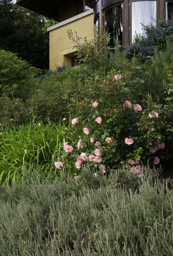 Kenneth Philp Landscape Architects - Photo 11