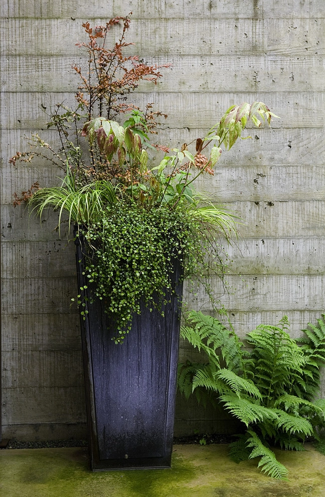 Yarrow Point Residence by Kenneth Philp Landscape Architects - Photo 6