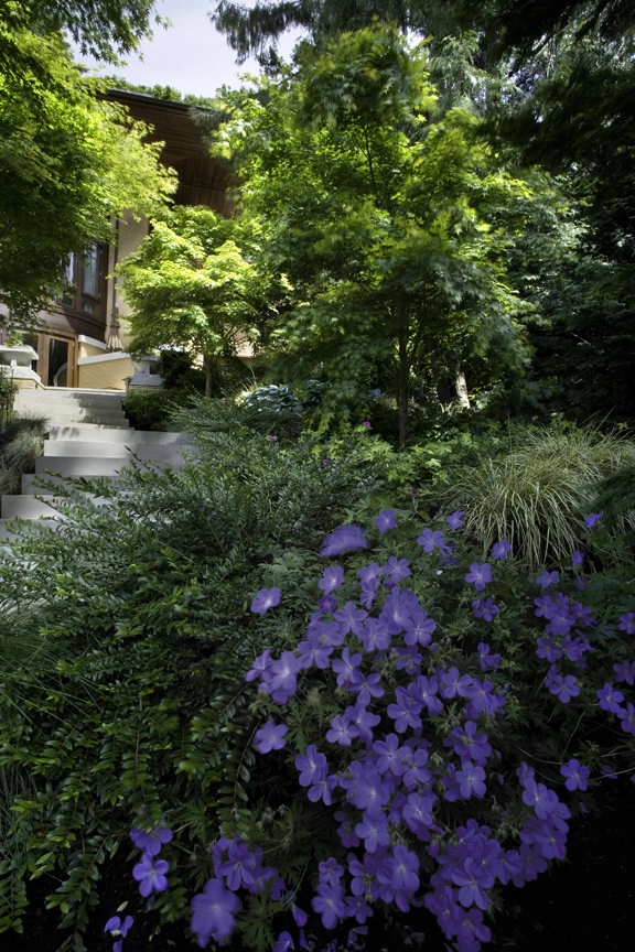 Lake Washington Residence by Kenneth Philp Landscape Architects - Photo 5