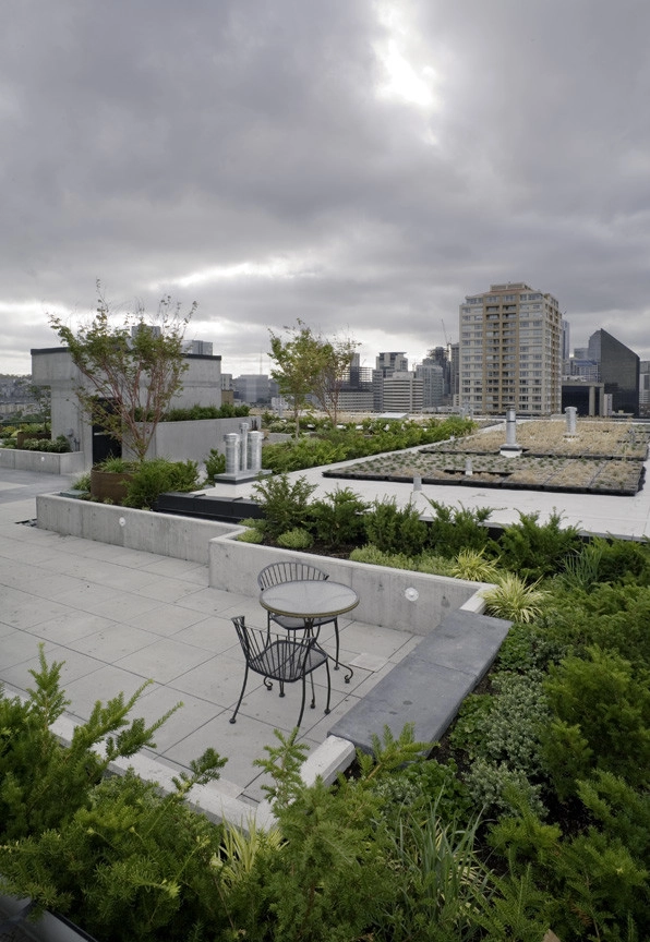 Kenneth Philp Landscape Architects - Photo 12