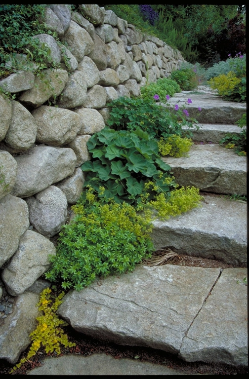 Medina Residence by Kenneth Philp Landscape Architects - Photo 2