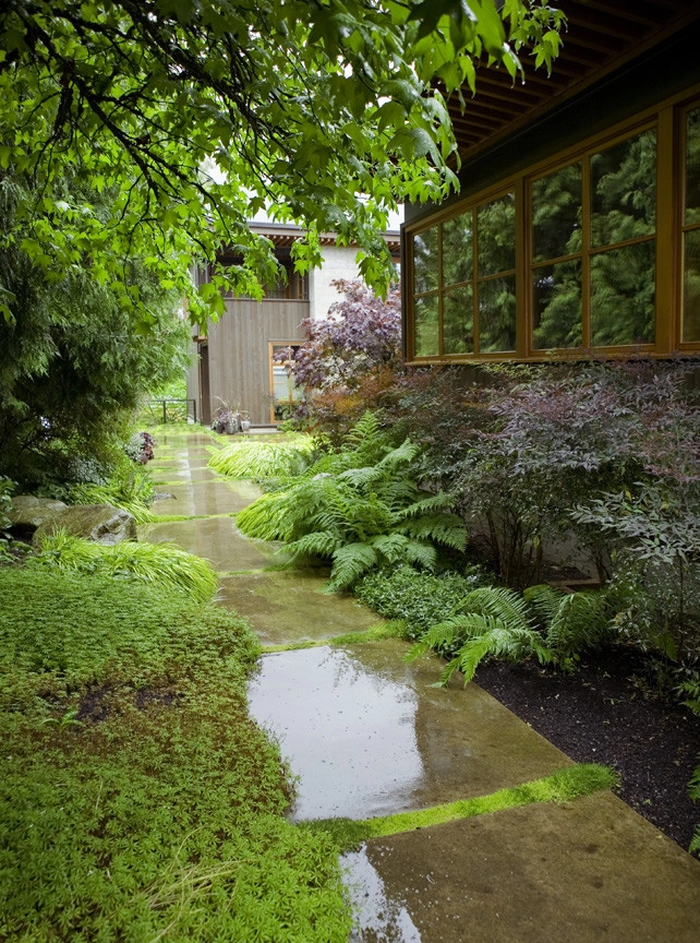 Yarrow Point Residence by Kenneth Philp Landscape Architects - Photo 9