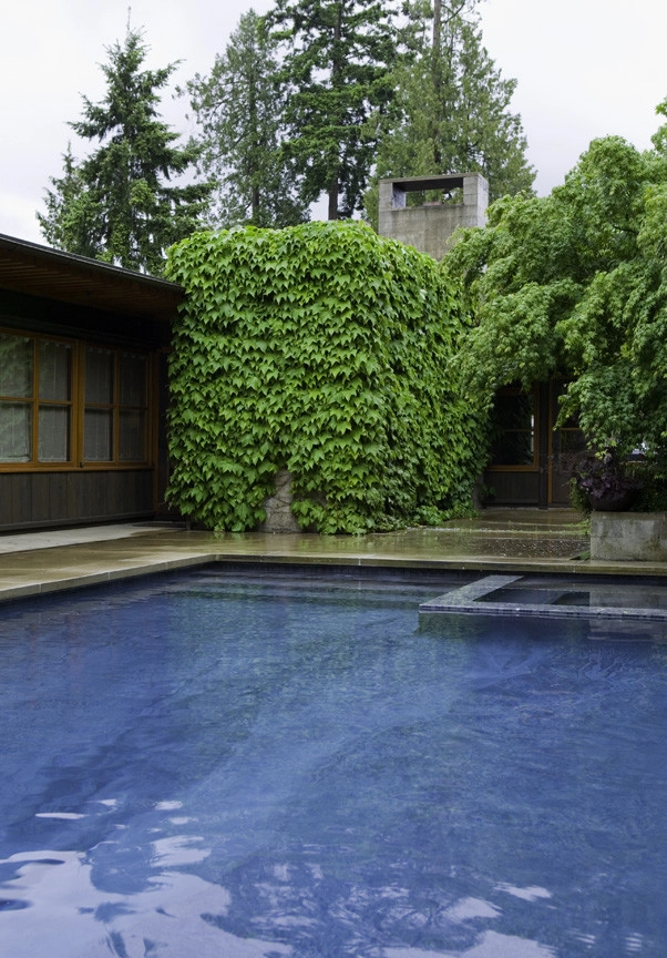 Yarrow Point Residence by Kenneth Philp Landscape Architects - Photo 4