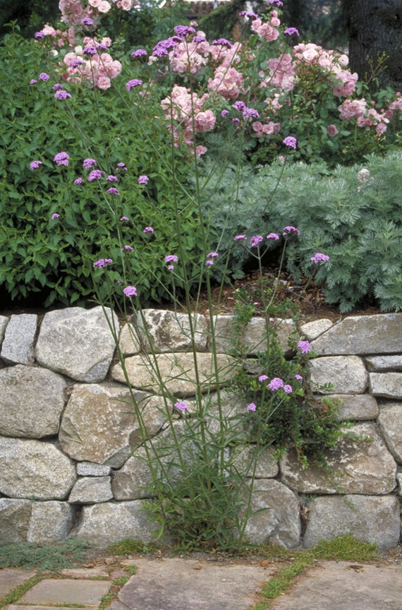 Medina Residence by Kenneth Philp Landscape Architects - Photo 4