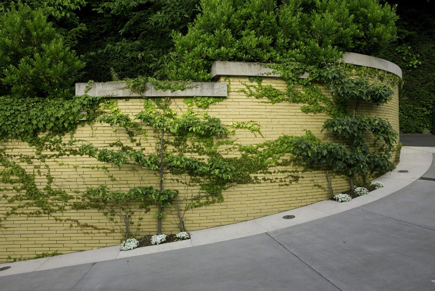 Lake Washington Residence by Kenneth Philp Landscape Architects - Photo 6