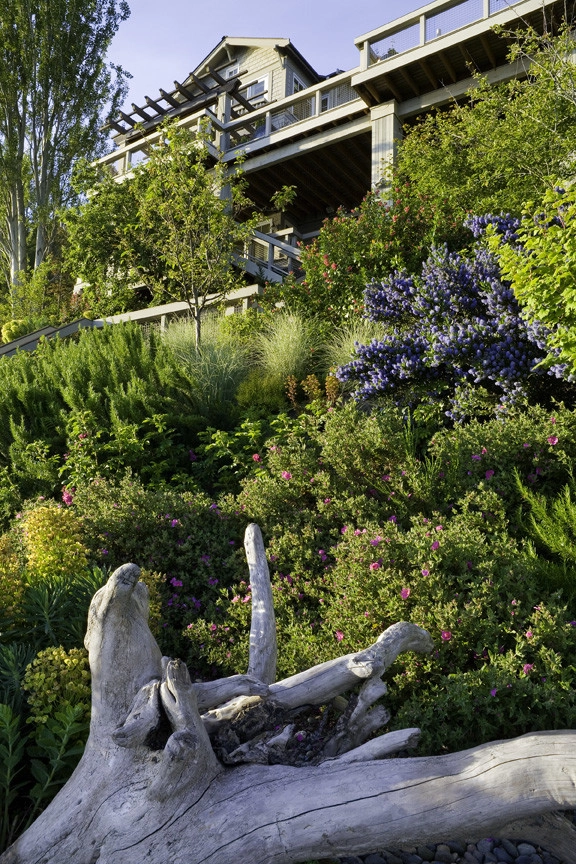 Perkins Lane Residence by Kenneth Philp Landscape Architects - Photo 3