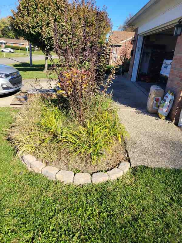 Alberto Alavez Professional Lawn Services LLC 7 by Alberto Alavez Professional Lawn Services LLC - Photo 8