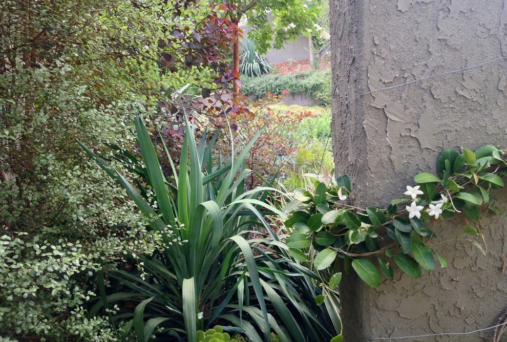 Mystical Habitat Garden by Ketti Kupper Conscious Life Design - Photo 59