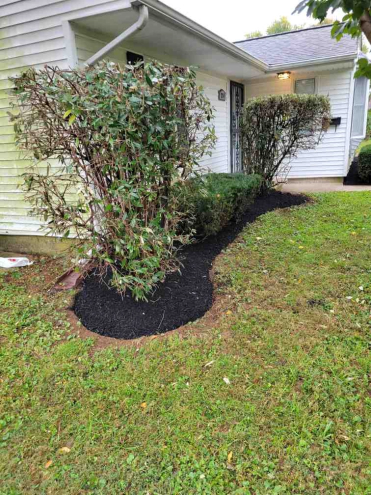 Alberto Alavez Professional Lawn Services LLC 7 by Alberto Alavez Professional Lawn Services LLC - Photo 30