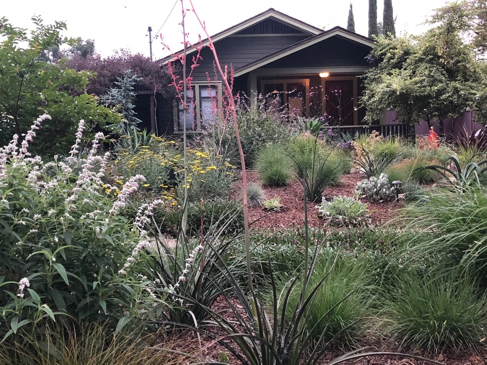Colorful Watershed Front Landscape by Ketti Kupper Conscious Life Design - Photo 14