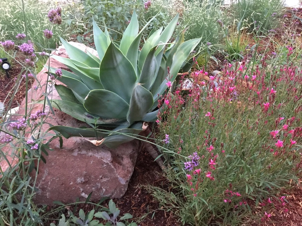 Colorful Watershed Front Landscape by Ketti Kupper Conscious Life Design - Photo 33