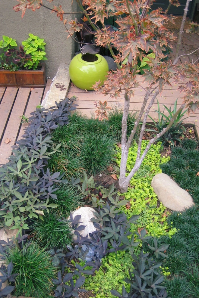 Secret Sanctuary Garden by Ketti Kupper Conscious Life Design - Photo 14