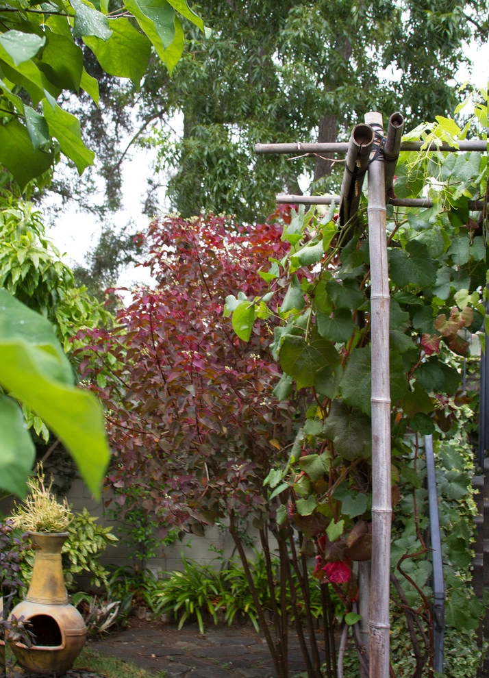 Secret Sanctuary Garden by Ketti Kupper Conscious Life Design - Photo 9