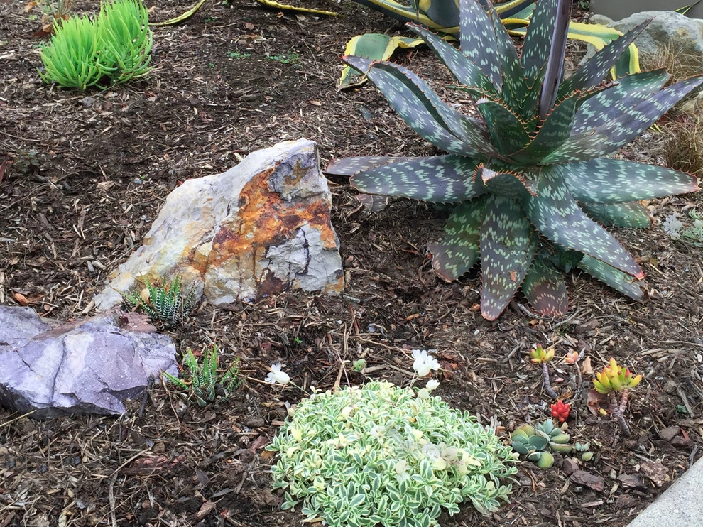 Very Zen Landscape by Ketti Kupper Conscious Life Design - Photo 7