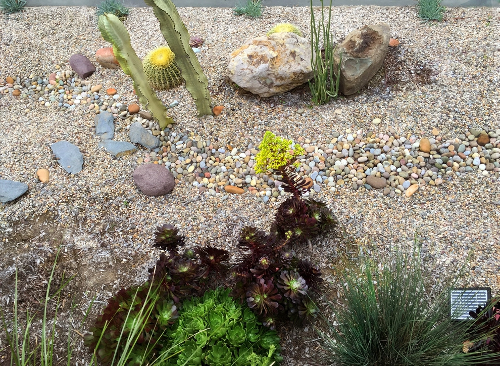Conscious Stream Scape 2 Year Update - Silverlake by Ketti Kupper Conscious Life Design - Photo 7