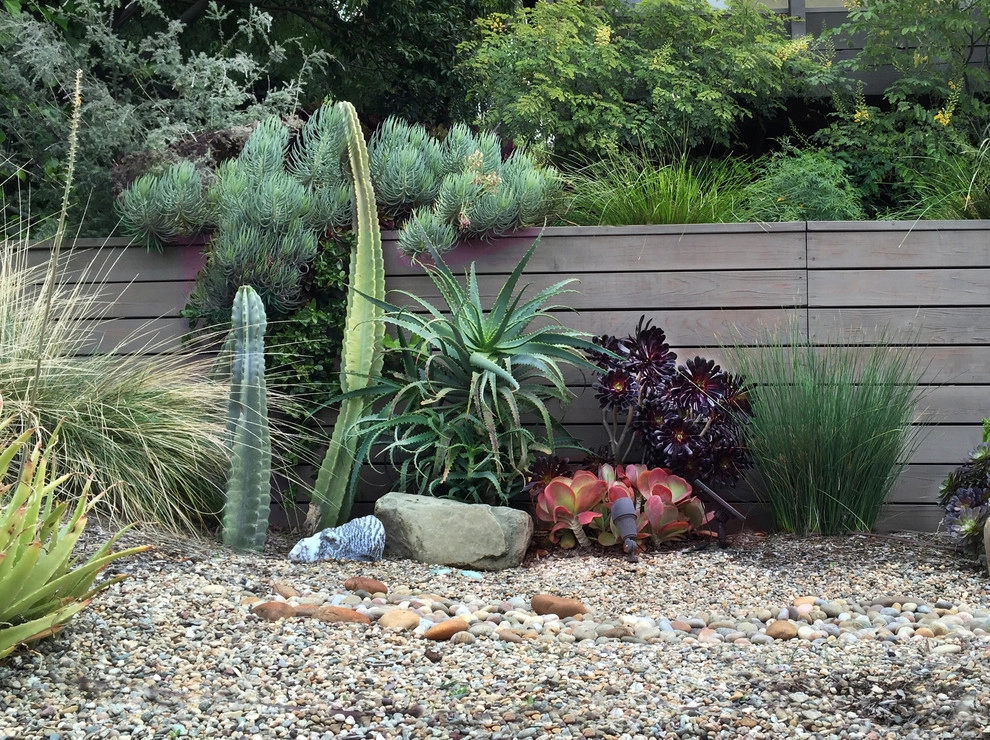 Conscious Stream Scape 2 Year Update - Silverlake by Ketti Kupper Conscious Life Design - Photo 3
