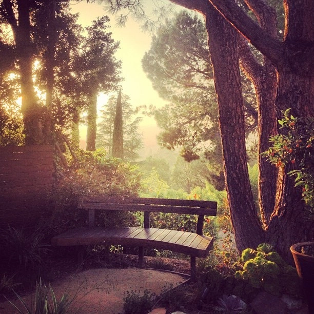 Mystical Habitat Garden by Ketti Kupper Conscious Life Design - Photo 53
