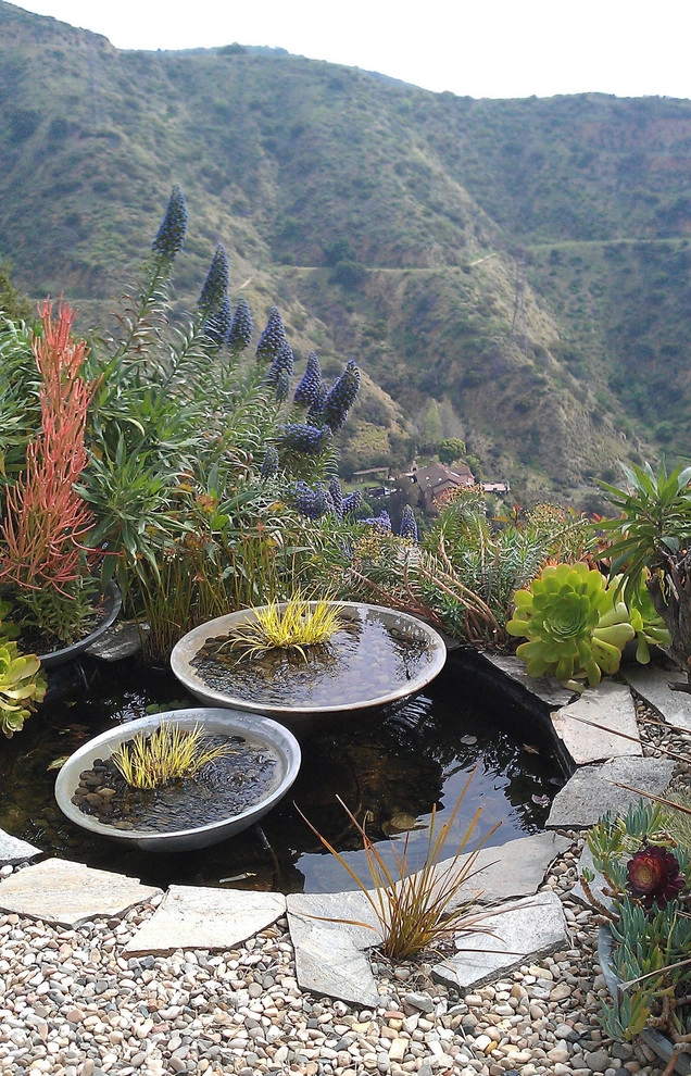 Narrow View Garden by Ketti Kupper Conscious Life Design - Photo 2
