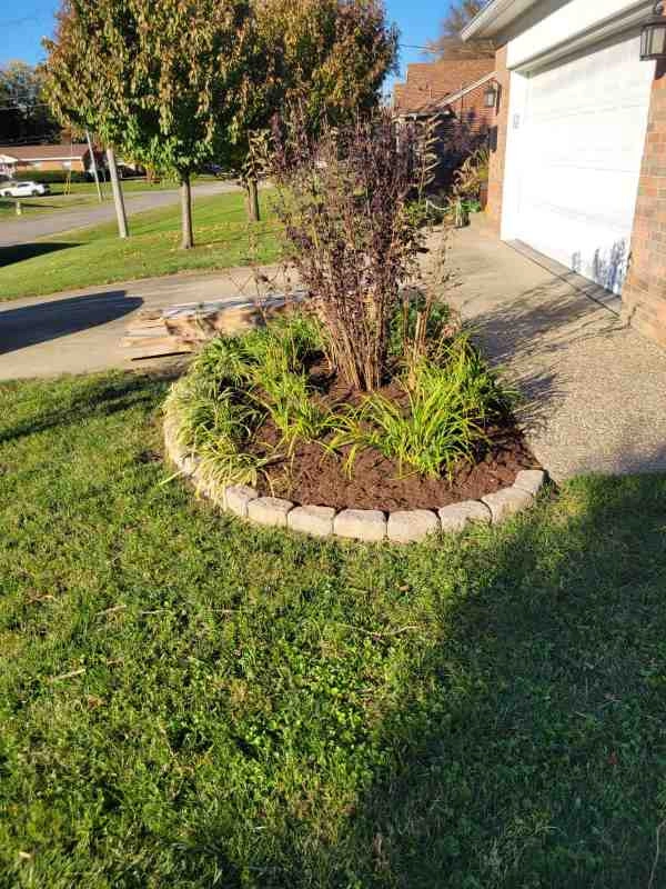 Alberto Alavez Professional Lawn Services LLC 7 by Alberto Alavez Professional Lawn Services LLC - Photo 15