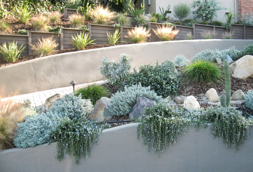 Drought Tolerant Entry Slopes by Ketti Kupper Conscious Life Design - Photo 2