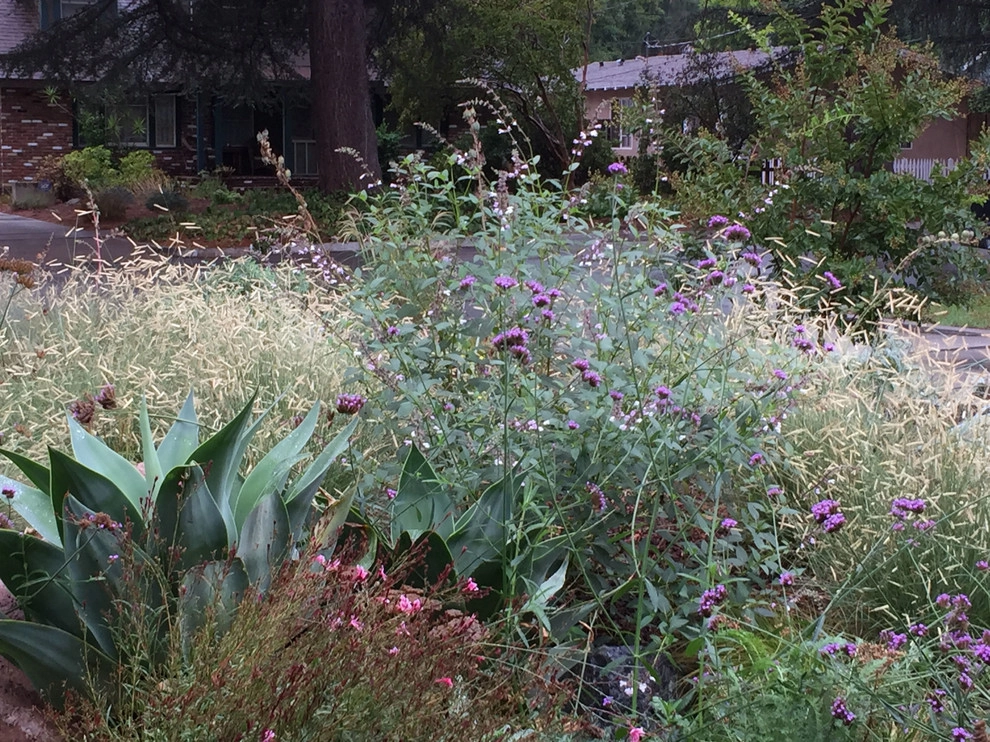 Colorful Watershed Front Landscape by Ketti Kupper Conscious Life Design - Photo 21