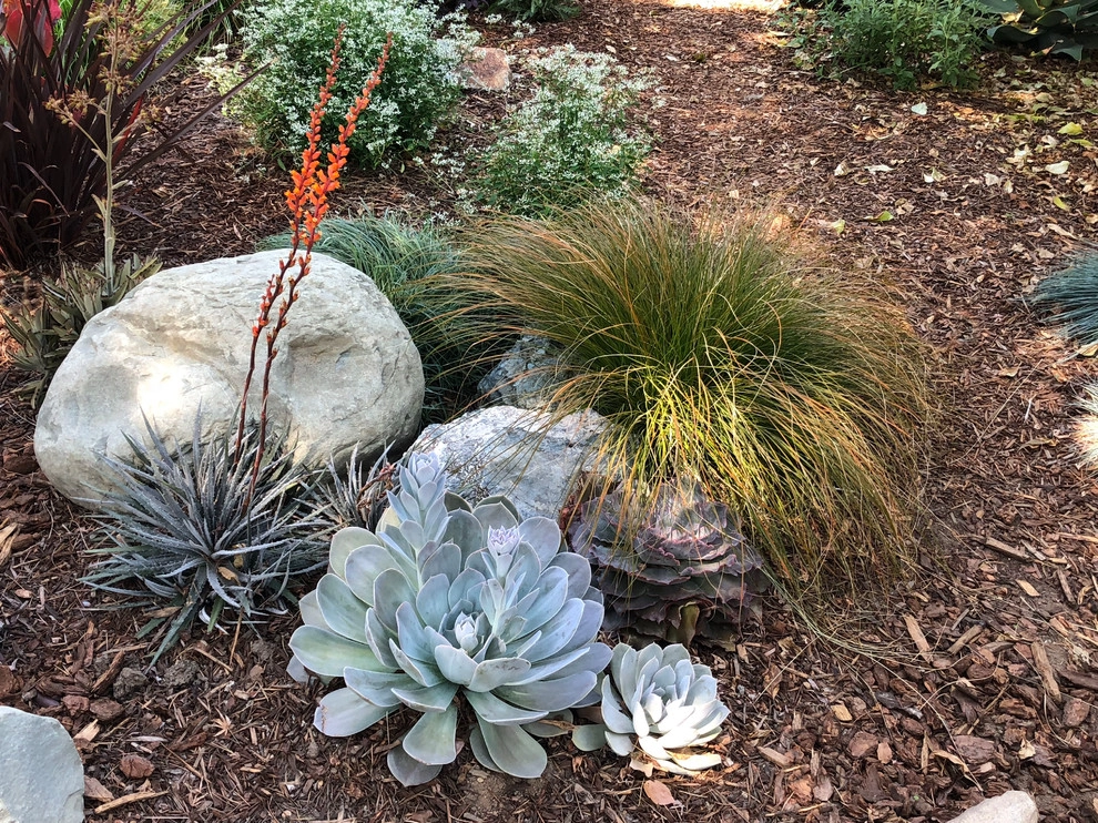Colorful Watershed Front Landscape by Ketti Kupper Conscious Life Design - Photo 30