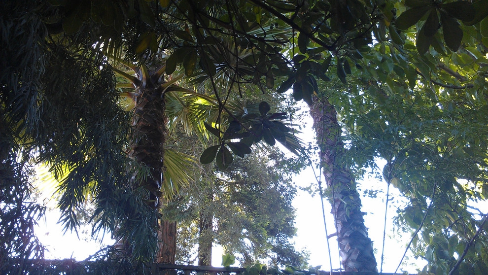 Secret Sanctuary Garden by Ketti Kupper Conscious Life Design - Photo 20