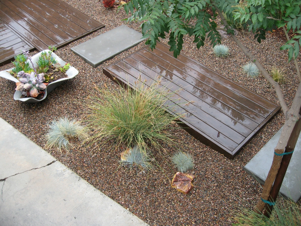 Chic Sustainable Entry Garden- Los Feliz by Ketti Kupper Conscious Life Design - Photo 10