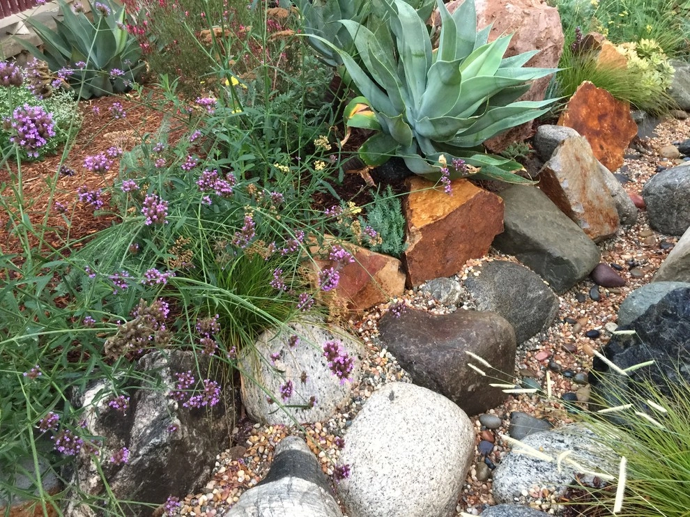 Colorful Watershed Front Landscape by Ketti Kupper Conscious Life Design - Photo 19
