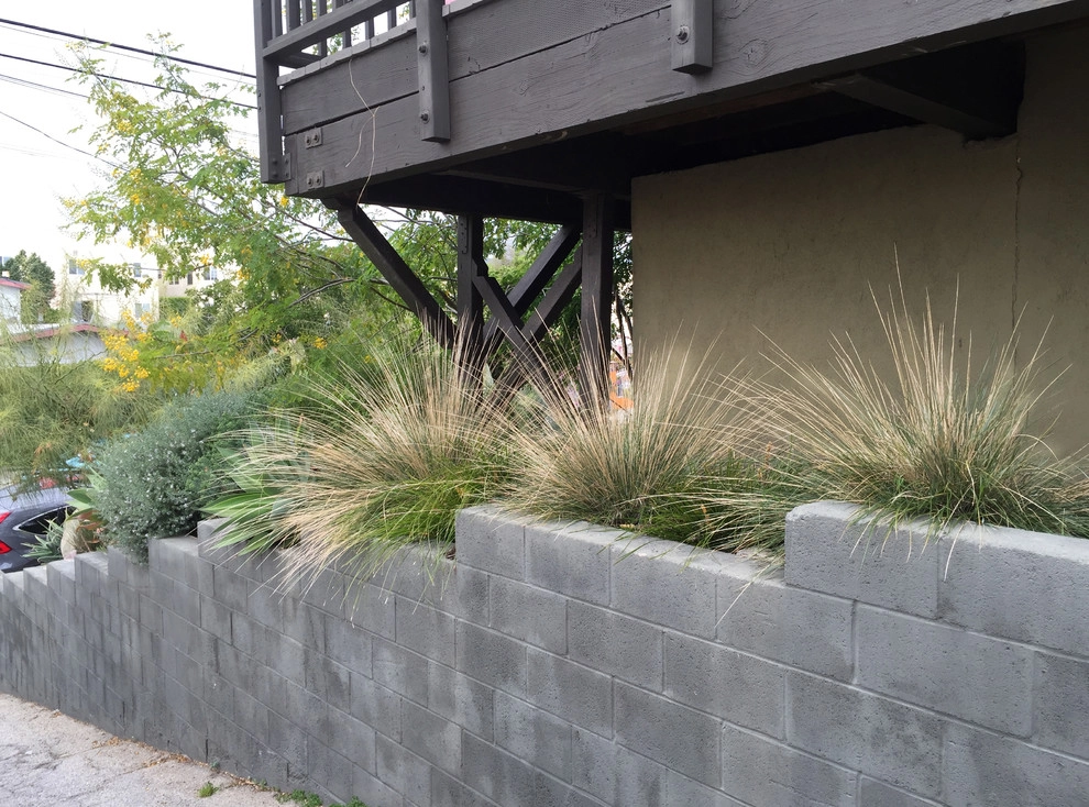 Conscious Stream Scape 2 Year Update - Silverlake by Ketti Kupper Conscious Life Design - Photo 5