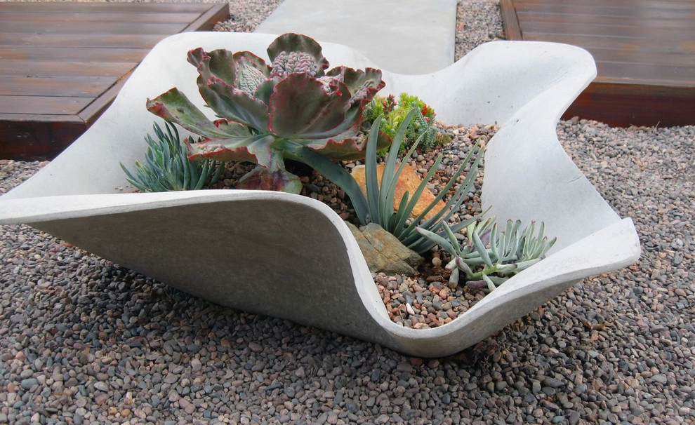 Chic Sustainable Entry Garden- Los Feliz by Ketti Kupper Conscious Life Design - Photo 11