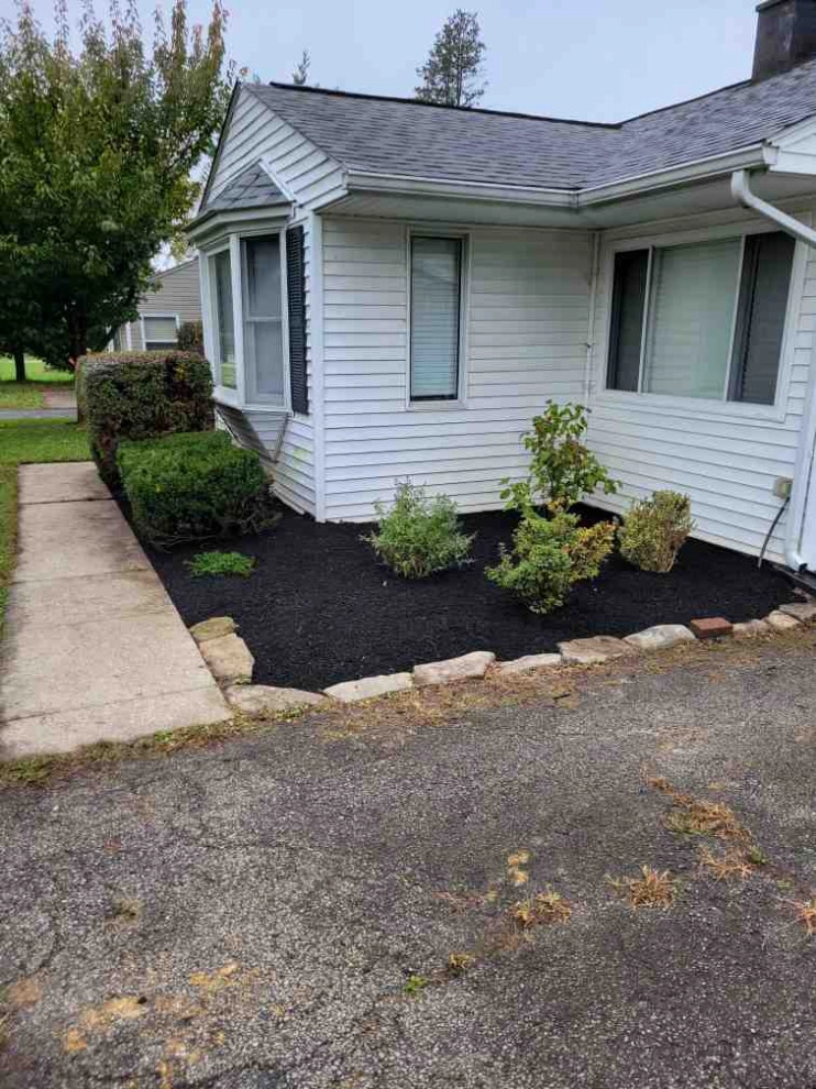 Alberto Alavez Professional Lawn Services LLC 7 by Alberto Alavez Professional Lawn Services LLC - Photo 31