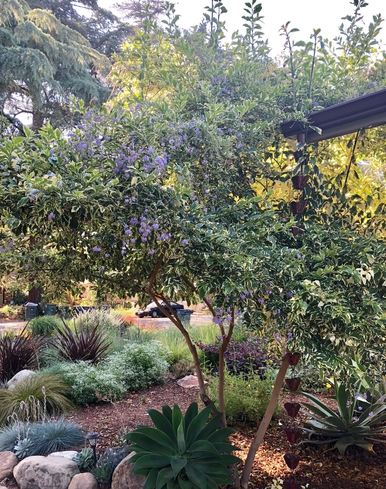 Colorful Watershed Front Landscape by Ketti Kupper Conscious Life Design - Photo 3