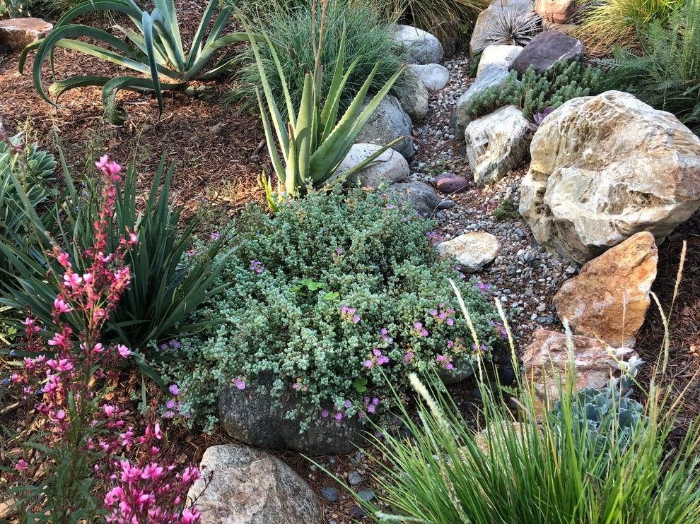 Colorful Watershed Front Landscape by Ketti Kupper Conscious Life Design - Photo 2