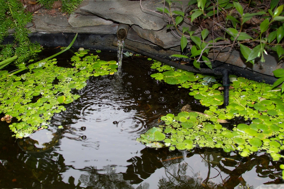Secret Sanctuary Garden by Ketti Kupper Conscious Life Design - Photo 23