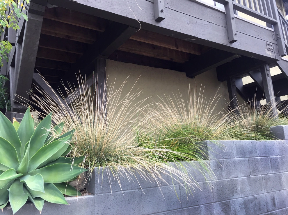 Conscious Stream Scape 2 Year Update - Silverlake by Ketti Kupper Conscious Life Design - Photo 8