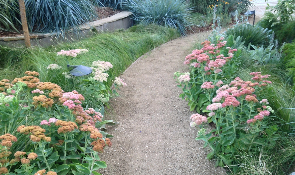 Mystical Habitat Garden by Ketti Kupper Conscious Life Design - Photo 65