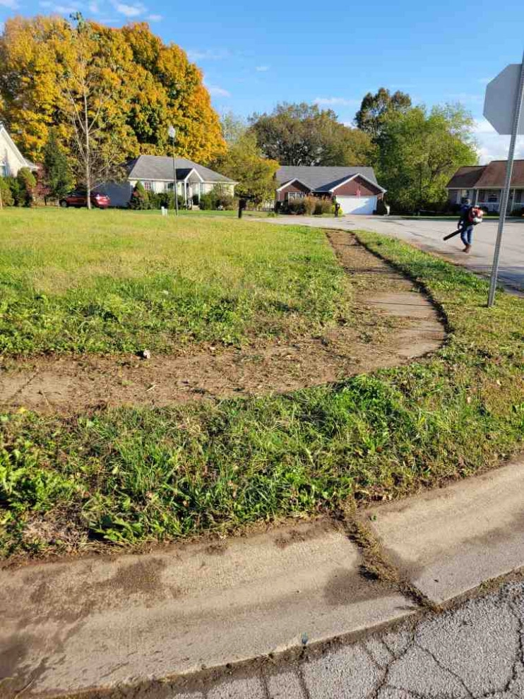 Alberto Alavez Professional Lawn Services LLC 7 by Alberto Alavez Professional Lawn Services LLC - Photo 11